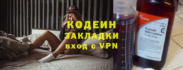 гидра Володарск