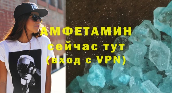 гидра Володарск