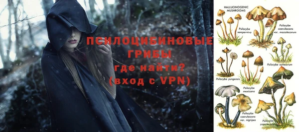 сатива Верея