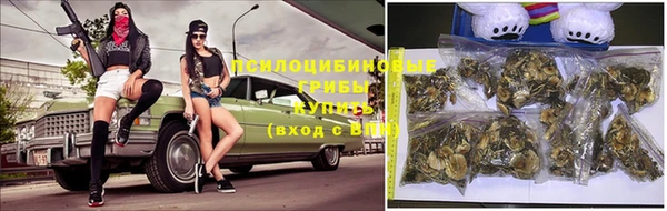 бошки Вязьма
