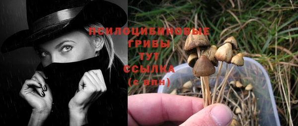 a pvp Вяземский